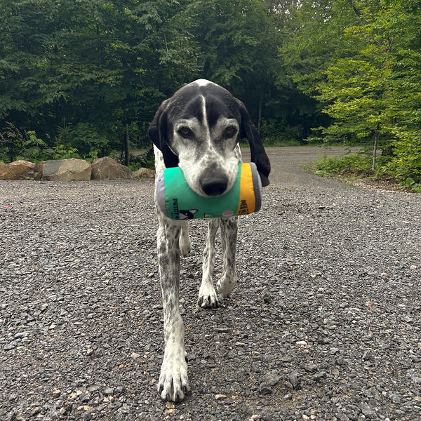 Jouet pour chien - Canette Petite Morale